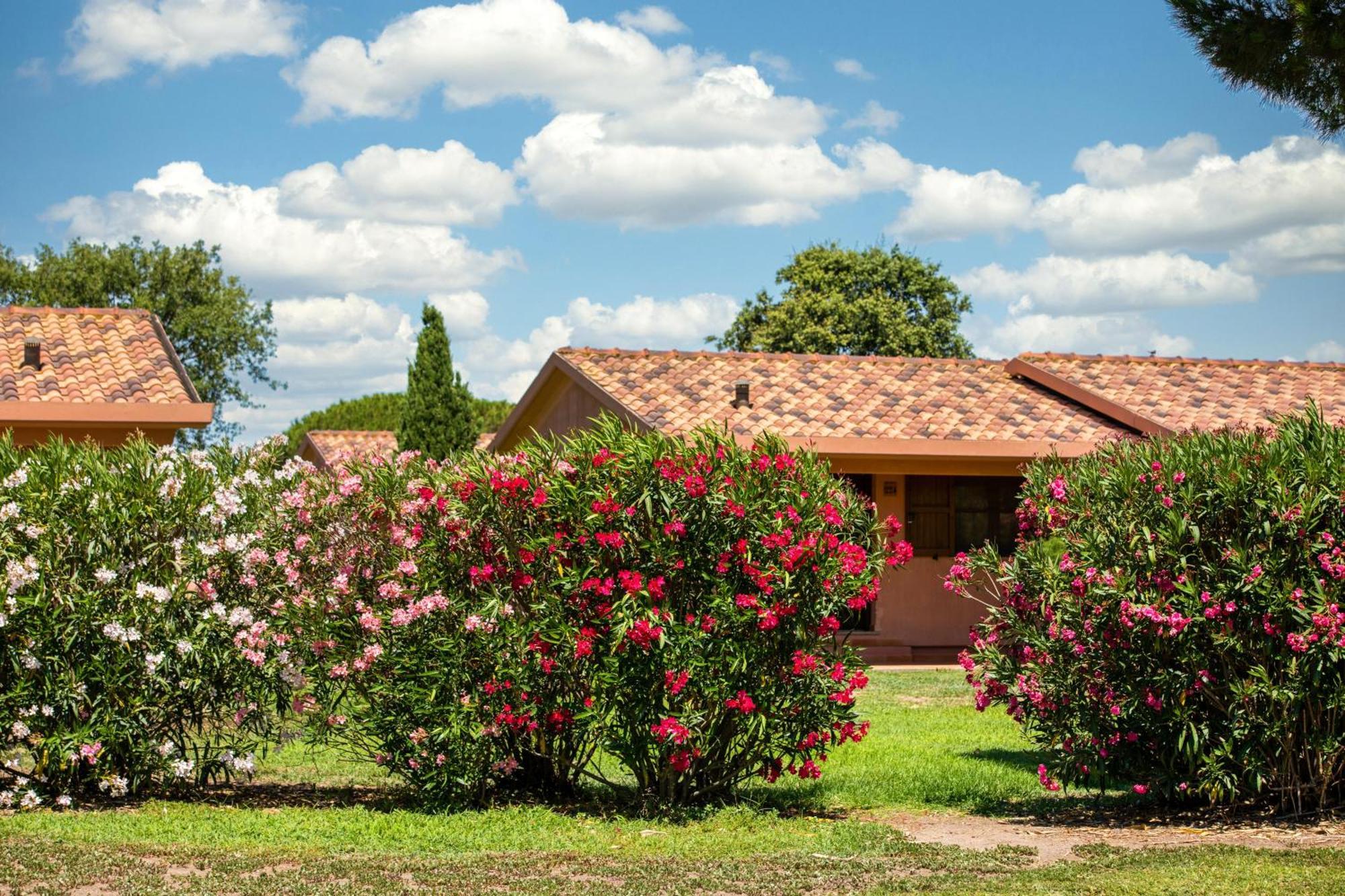 Gitavillage California Montalto di Castro Extérieur photo
